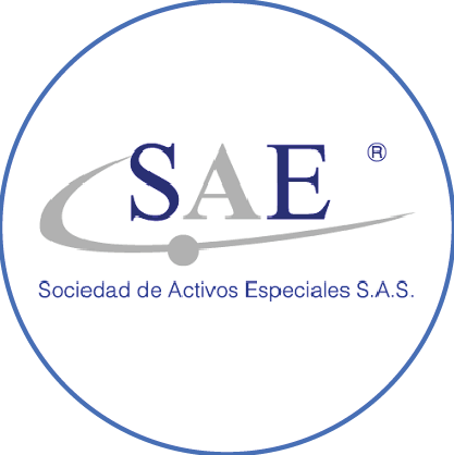 Sociedad de Activos Especiales